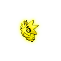 Golden Pupitar
